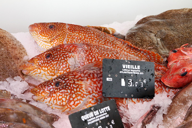Fish at the markets in Brittany close to Camping L'Atlantique