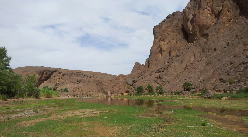 quad biking in morocco
