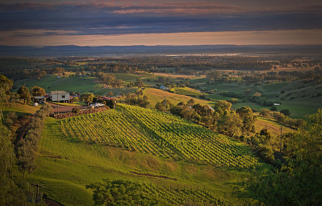 Hunter Valley in New South Wales, Australia
