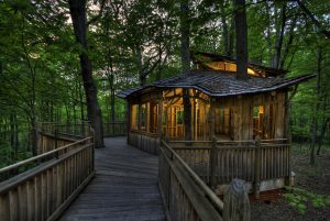 Treehouse lit up at night
