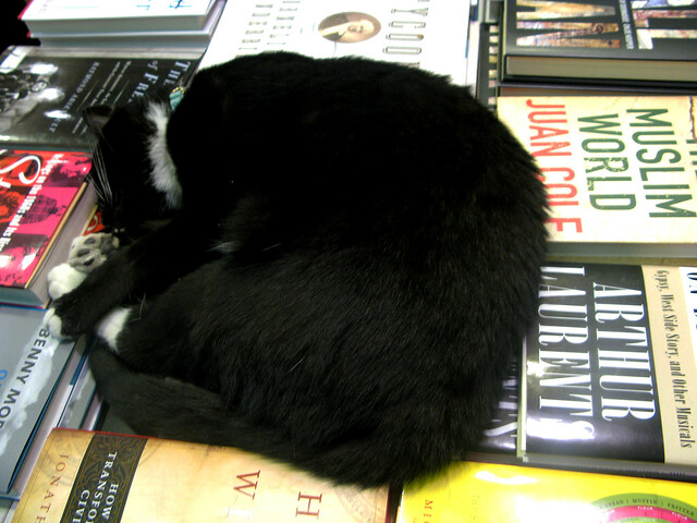 The Community Bookshop in Brooklyn comes complete with cats as well as books