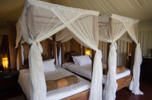 The Safari Tent by Colin. J. McMechan on Flickr