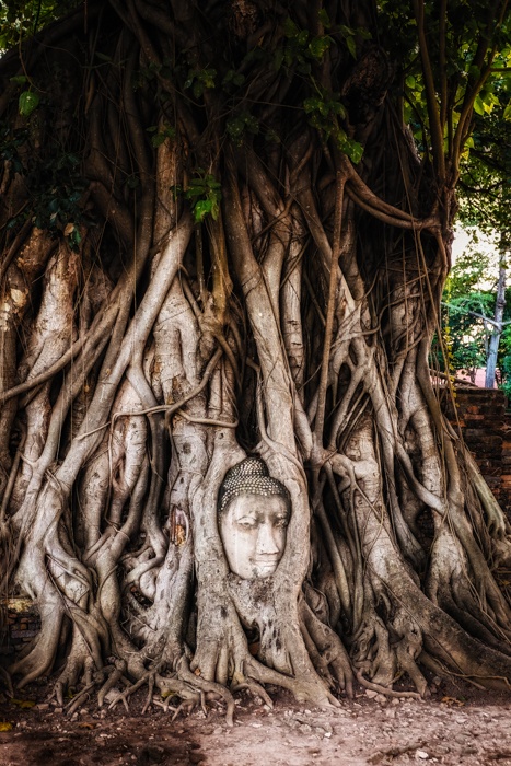 Luang Chumni Village Guesthouse, Ayutthaya, Thailand, quirky, unique travel, unusual travel, accommodation, Travel, Travelling, Travelling Book junkie