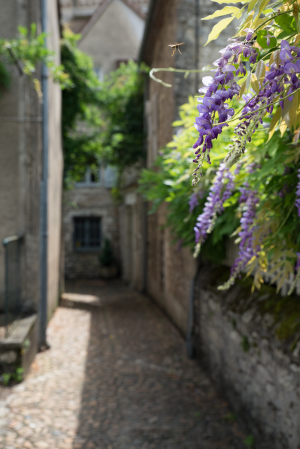 Martel: A Medieval Masterpiece in the Dordogne, France