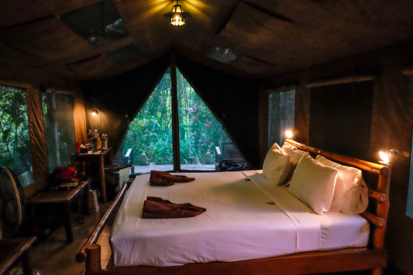 Elephant Hills, elephant experience, glamping, tents, Thailand, Khao Sok National Park, travel, travelling book junkie