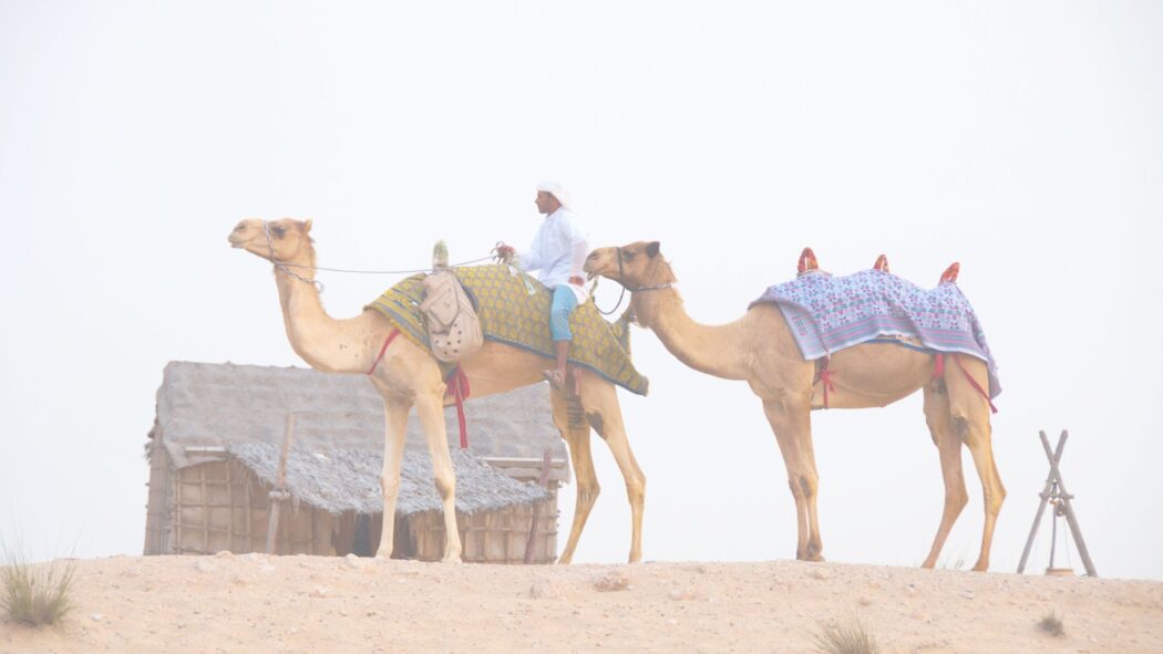 Enjoy an evening desert safari in Dubai with @tbookjunkie