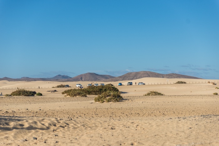 fuerteventura, holiday gems, family holidays, canary islands, correlejo, beaches, markets, sand dunes,