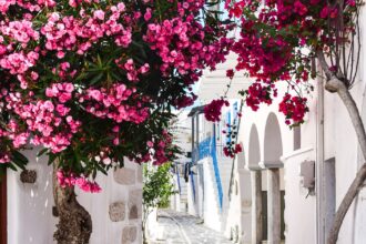 A white washed street in Greece with beautiful pink flowers and blue doors