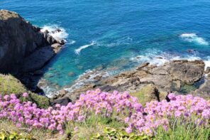 Camping L'Atlantique in the heart of Brittany, close to the glorious beaches and wonderful villages worth while exploring. Image provided by Is@ Chessyca from Unsplash