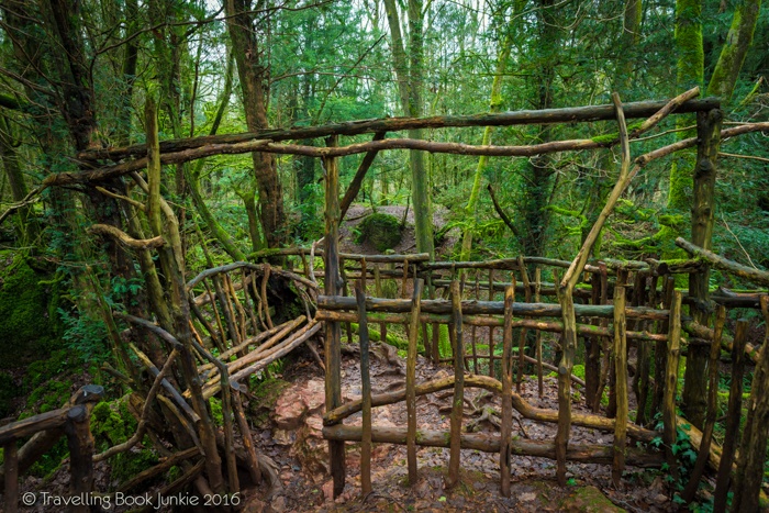 puzzlewood, hollywood, film, movie, locations, filming, enchanted, forest, star wars, blockbuster, england, british, secret,