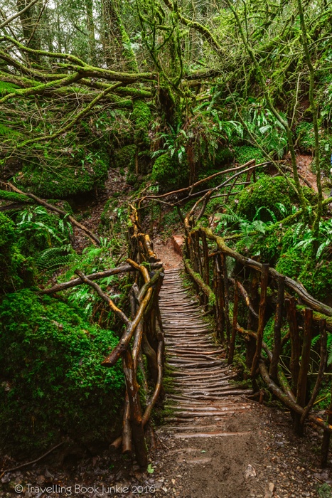 puzzlewood, hollywood, film, movie, locations, filming, enchanted, forest, star wars, blockbuster, england, british, secret,
