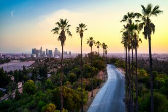 The Los Angeles skyline from afar
