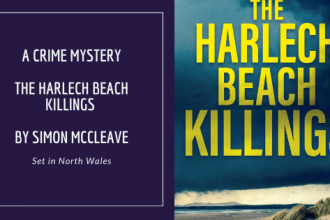 The Harlech Beach Killings by Simon Mccleave, a full review via @tbookjunkie
