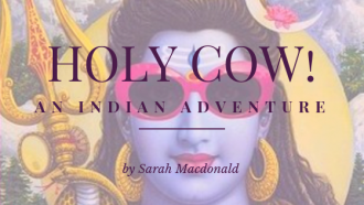 Holy Cow! An Indian Adventure book review